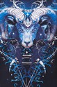 T-shirt męski z kolekcji Zodiak - Baran kolor czarny RW24.TSM955