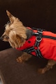 Lifestyle Medicine giacca per animali RW25-KUU802 arancione