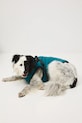 Lifestyle Medicine giacca per animali RW25-KUU802 verde