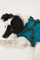 Medicine giacca per animali verde RW25-KUU802