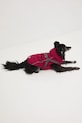 Medicine giacca per animali RW25-KUU904 granata RW25