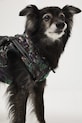 Medicine giacca per animali multicolore RW25-KUU904