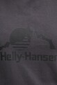 Кофта Helly Hansen NORD GRAPHIC 62981 сірий