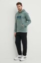 Helly Hansen hanorac de bumbac HH LOGO HOODIE 33977 verde SS24