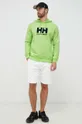 Helly Hansen sweatshirt HH LOGO HOODIE green