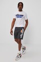 Ellesse - Szorty Bossini Fleece Short SHS08748 szary SS23