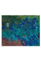 мультиколор Полотенце MuseARTa Vincent van Gogh Irises Unisex
