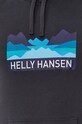 Helly Hansen - Кофта 62975 серый