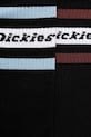 Dickies шкарпетки DK0A4XDKWHX чорний AW25