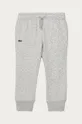 szary Lacoste spodnie dziecięce XJ9476 Chłopięcy