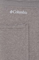 Hlače Columbia CSC Logo 1911601 siva