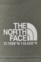 The North Face Szorty zielony NF0A55UUV381