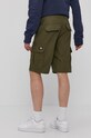 Clothing Dickies shorts DK0A4XEDMGR green