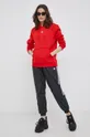 adidas Originals Bluza Adicolor HF7505 czerwony