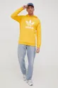 Βαμβακερή μπλούζα adidas Originals Adicolor κίτρινο