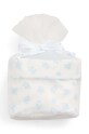 Chłopiec Polo Ralph Lauren komplet niemowlęcy 320863221001 320863221001 niebieski