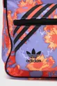 adidas Originals backpack multicolor