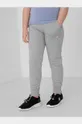 серый Детские спортивные штаны 4F Для девочек