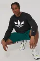 зелений Бавовняні шорти adidas Originals HB9541
