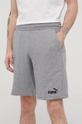 Puma pantaloni scurti 847380 847380 gri SS22