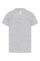 Otroški t-shirt Lego Wear 11010437 siva SS22