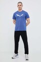 Salewa t-shirt sportowy Solidlogo Dry 00.0000027018 niebieski SS25