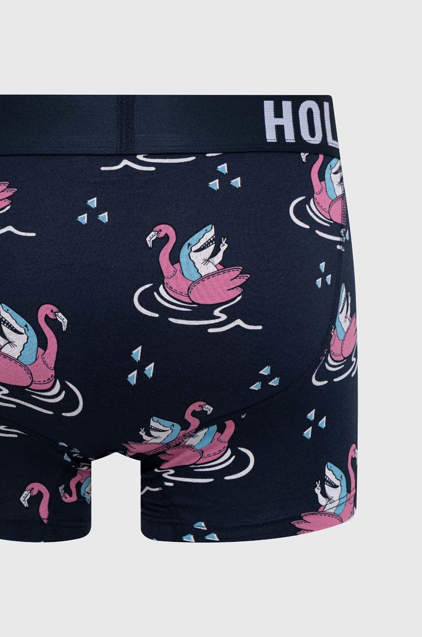 Boxerky Hollister Co. 5-pack