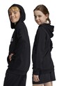 Παιδική μπλούζα adidas U BL 2 HOODIE HR6370 μαύρο