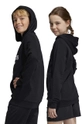 adidas bluza dziecięca U BL 2 HOODIE Chłopięcy