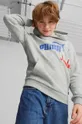 siva Otroški pulover Puma ESS+ LOGO POWER Hoodie TR B Fantovski