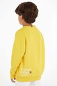 Дитяча кофта Tommy Hilfiger KB0KB08188.PPYX