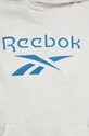 Reebok Classic bluza bawełniana Archive Big Logo IC8095 szary
