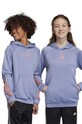 adidas bluza dziecięca U TI HOODIE z kapturem niebieski IA4619