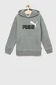 сірий Дитяча кофта Puma ESS+ 2 Col Big Logo Hoodie FL B Дитячий