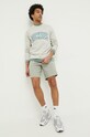 Dukserica Dickies DK0A4XABF061 siva SS23