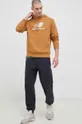 New Balance sweatshirt brown