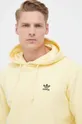 жёлтый Кофта adidas Originals