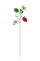 Swarovski dekoracja Garden Tales Wild Strawberry
