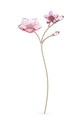 Декорация Swarovski Garden Tales Cherry Blossom прозрачен 5557797