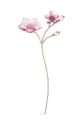 прозрачный Декорация Swarovski Garden Tales Cherry Blossom Unisex