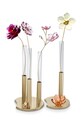 Всекидневна и спалня Декорация Swarovski Garden Tales Cherry Blossom 5557797 прозрачен