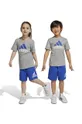 сірий Дитячий бавовняний комплект adidas LK BL CO T Для хлопчиків