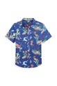Polo Ralph Lauren koszula bawełniana dziecięca wzorzyste niebieski 323902169001