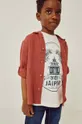коричневый Детская хлопковая рубашка zippy Для мальчиков