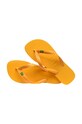 Japanke Havaianas BRASIL zlatna 4000032.1740