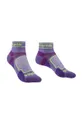 фіолетовий Шкарпетки Bridgedale Ultralight T2 Coolmax Low Жіночий