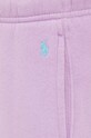 Polo Ralph Lauren pantaloni de trening violet 211891560