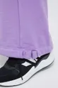 Спортивні штани adidas Жіночий