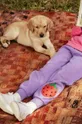 fioletowy Mini Rodini spodnie dresowe bawełniane dziecięce Dziecięcy