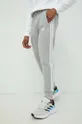 серый Хлопковые спортивные штаны adidas Мужской
